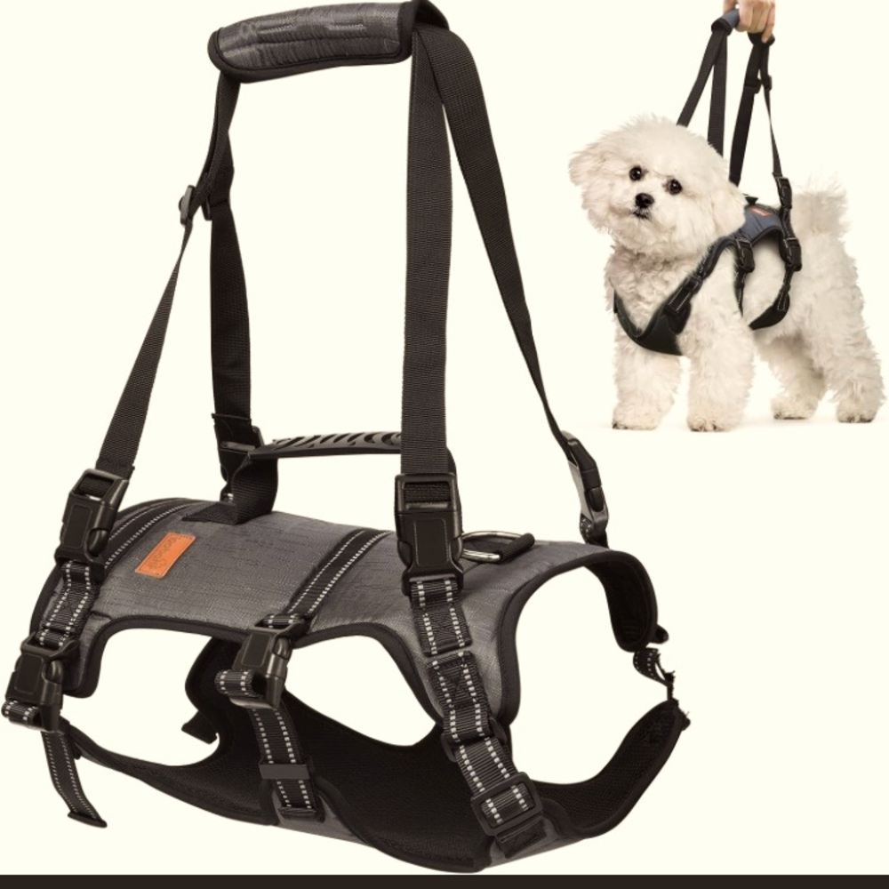 Dog lift harness